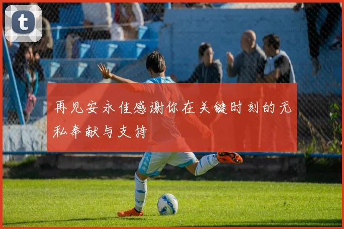 再见安永佳感谢你在关键时刻的无私奉献与支持