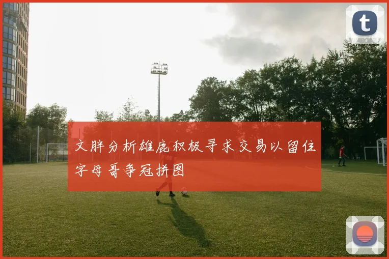 文胖分析雄鹿积极寻求交易以留住字母哥争冠拼图