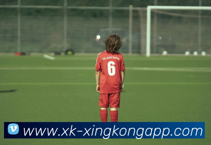 App Interface Preview